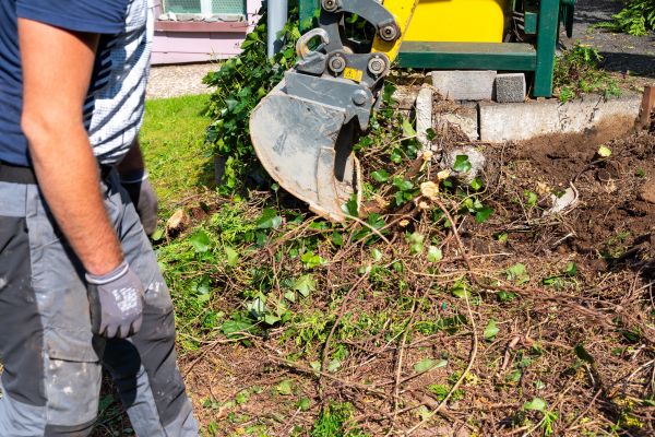 Hedge Removal Service in Santa Maria