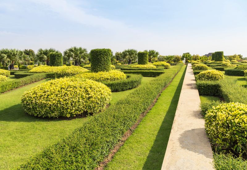 Trimmed Shrubs with Defined Shape